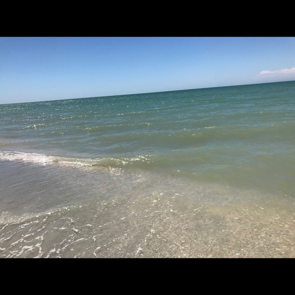 Meet your Posher, Shannon - Picture 1 of 1